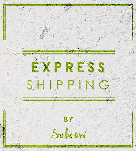 Upgrade the Shipping by Express Mail Service (EMS)