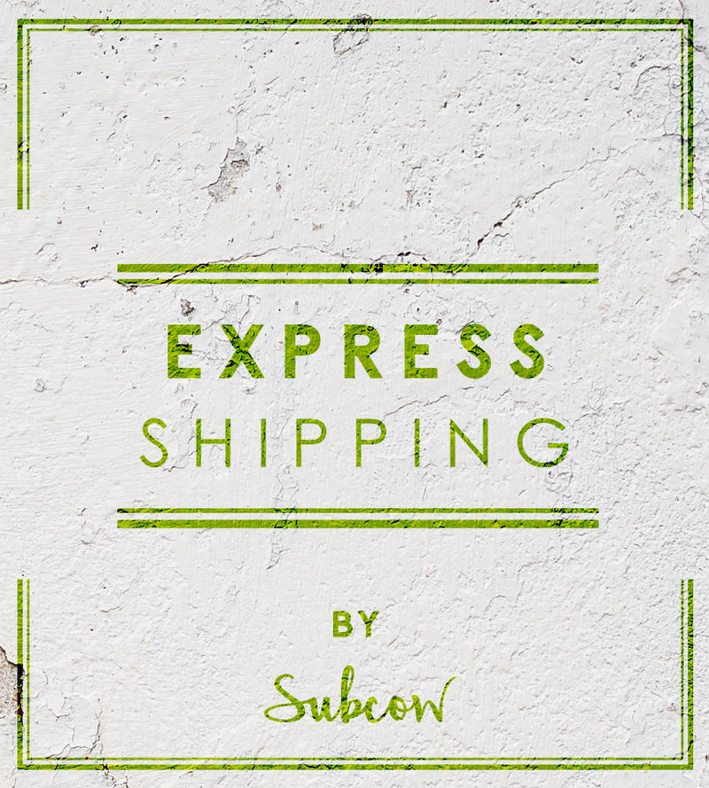 Express Mail Service - Shipping Upgrade